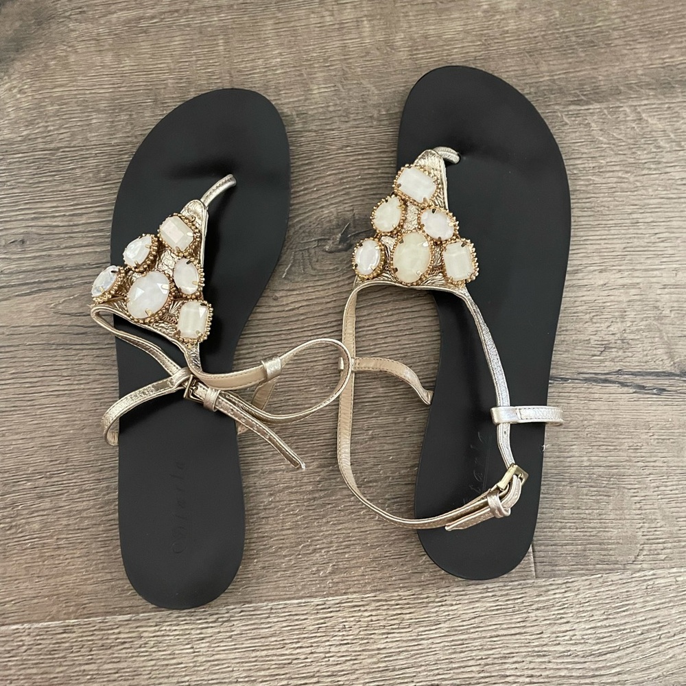 Gold and Black starla sandals